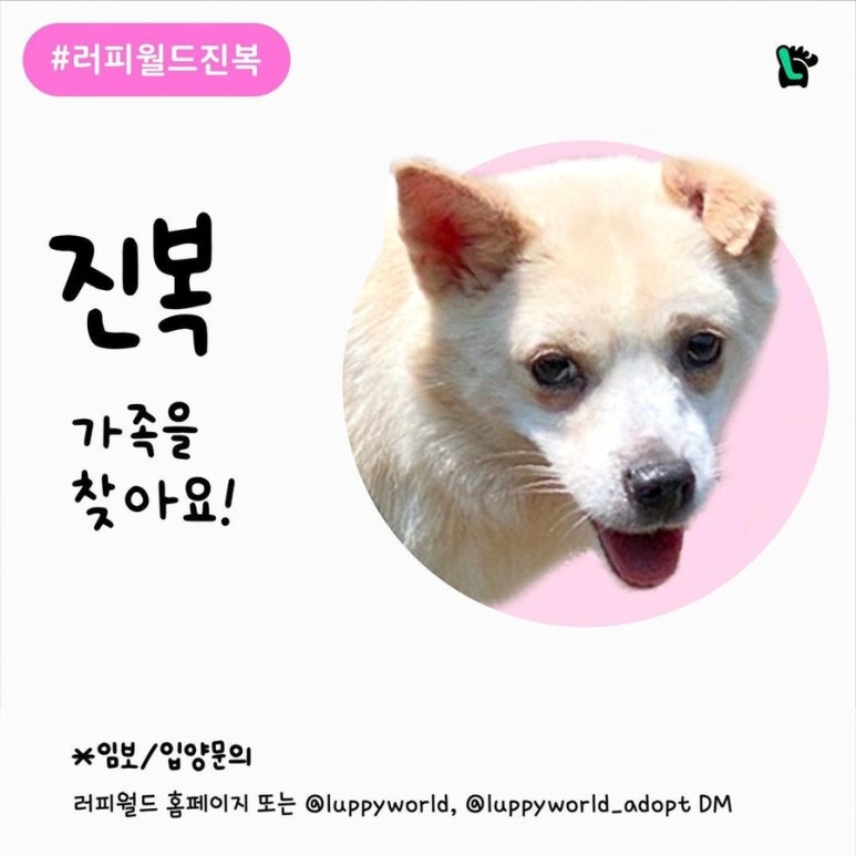 월드진 이미지
