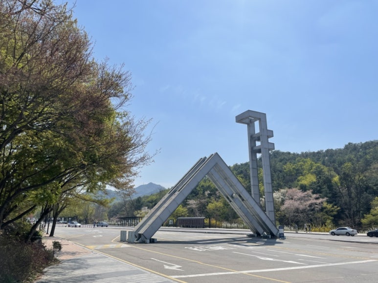 관악산코다리 이미지
