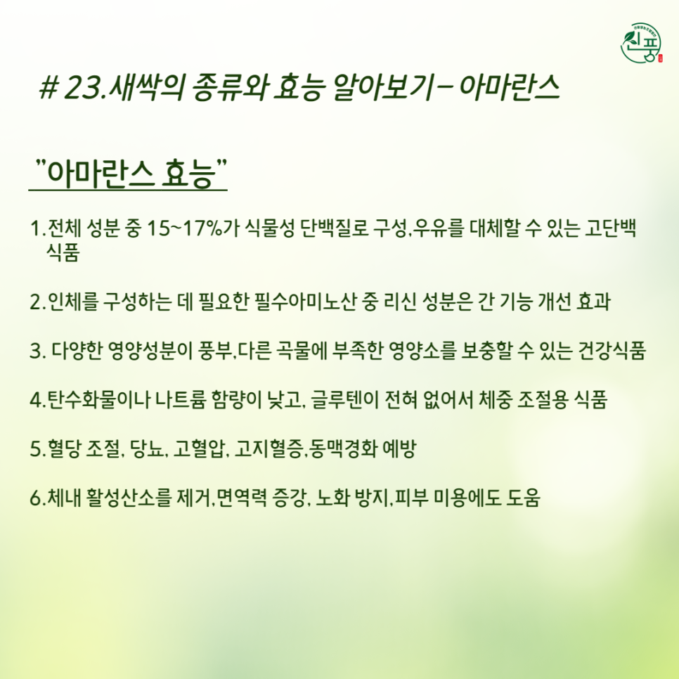신풍영농조합법인 이미지