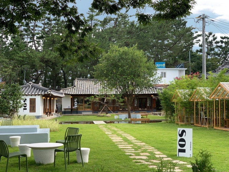 솔경주 이미지