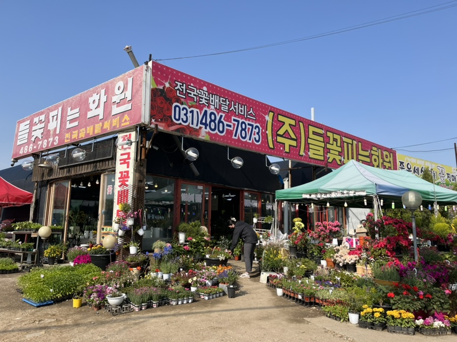 들꽃피는화원 이미지