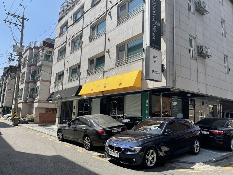 살롱코이 이미지