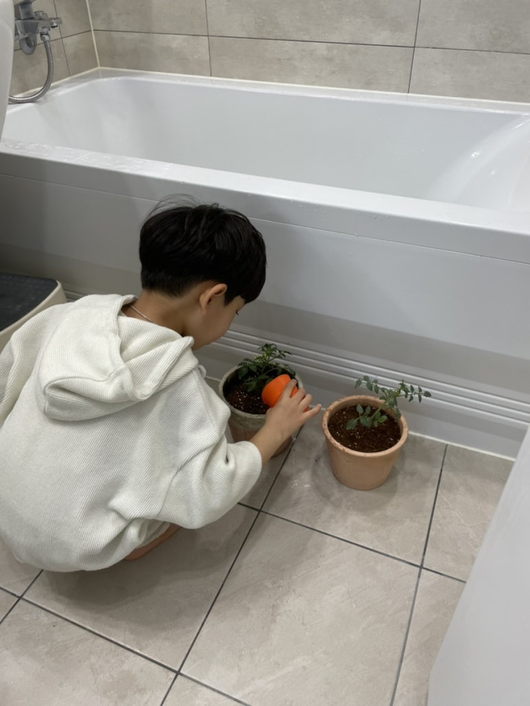 쁘니고 이미지