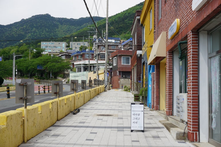 마카롱어센틱 이미지