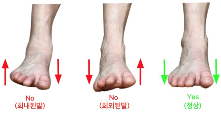 바른피티 이미지