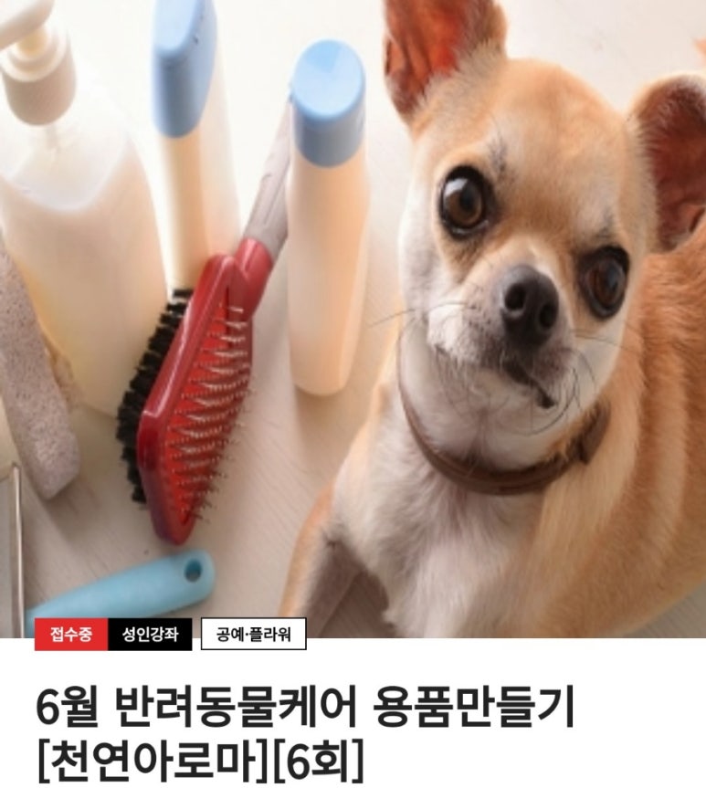 아로마크러쉬 이미지