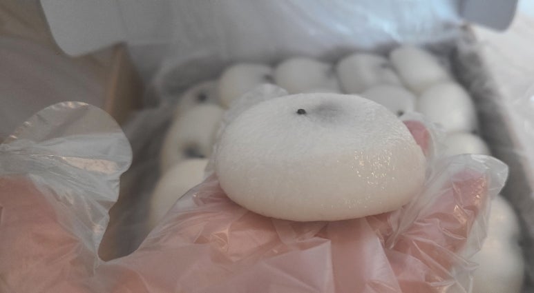 달잔기지떡 이미지