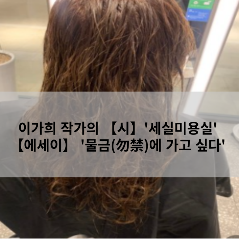세실미용실 이미지