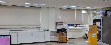 서울등명초등학교 이미지
