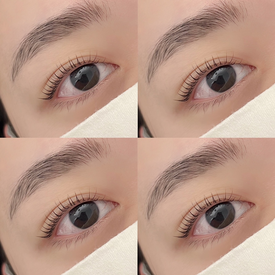 레빗브로우 이미지