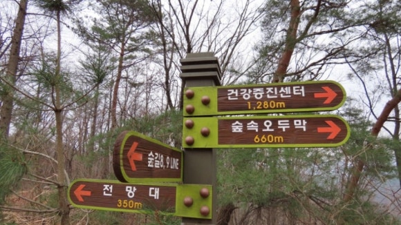 국립 양평 치유의 숲 이미지