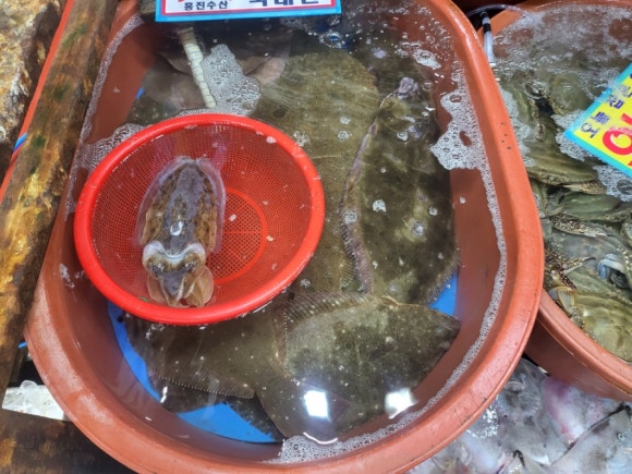 흥진수산 이미지