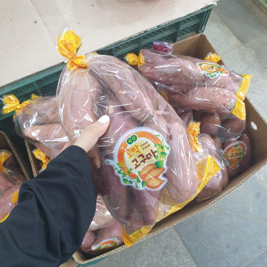 정원건설안전 이미지