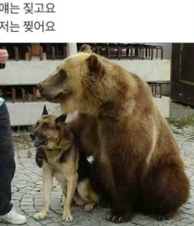 마타비 이미지
