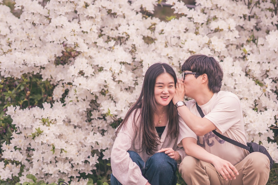 아델피아노 이미지