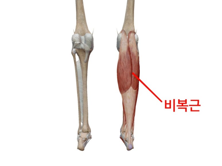 팰리스피트니스 이미지
