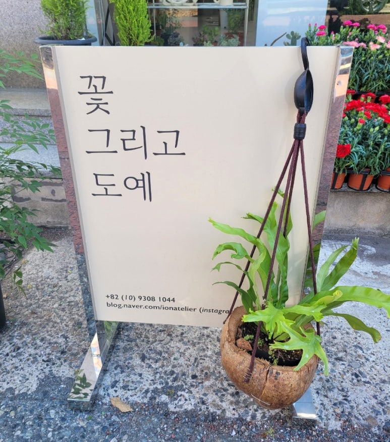 이온플라워 이미지