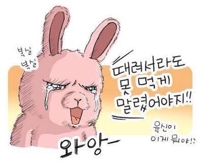 두배로마트 이미지