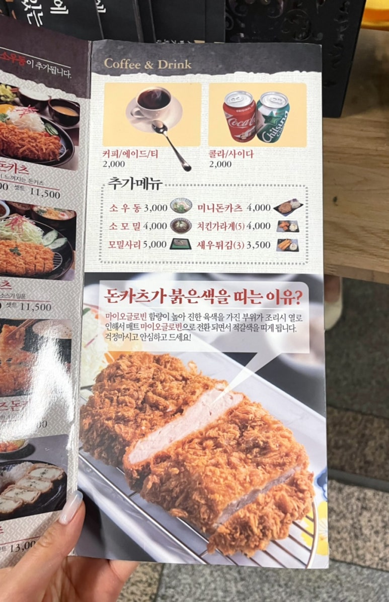 카츠젠월드 이미지