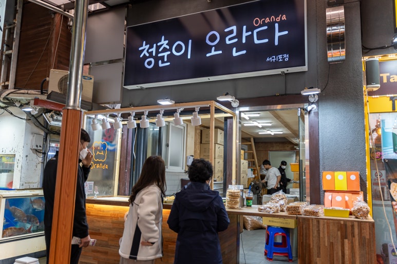 청춘이오란다 이미지