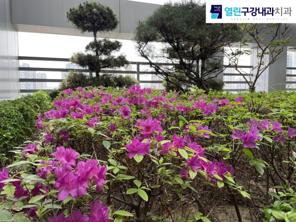 열린구강내과치과의원 이미지