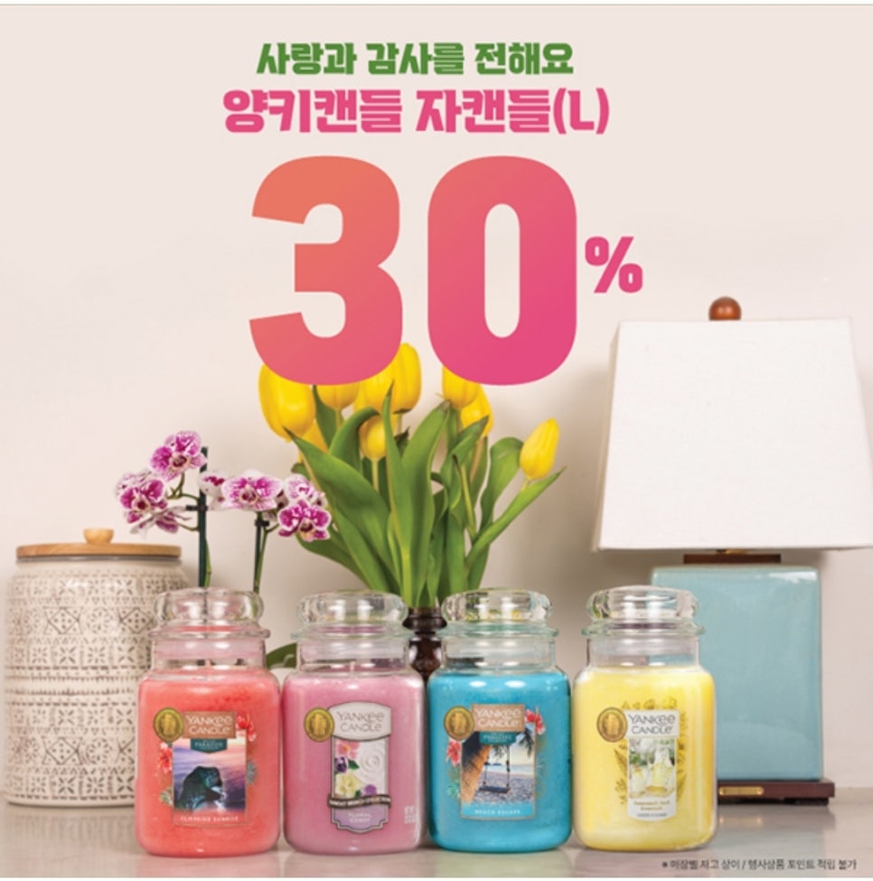 워터트리앤코 이미지
