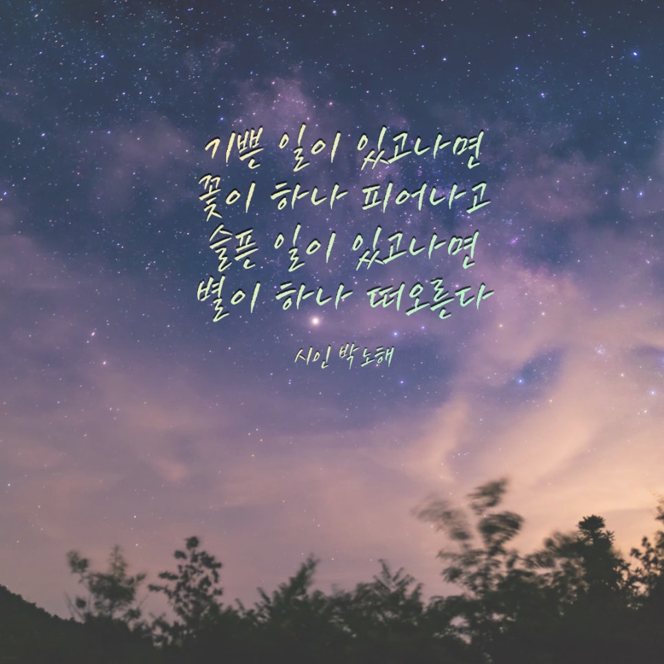 별별컴퍼니 이미지