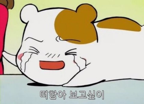 카페어닷 이미지