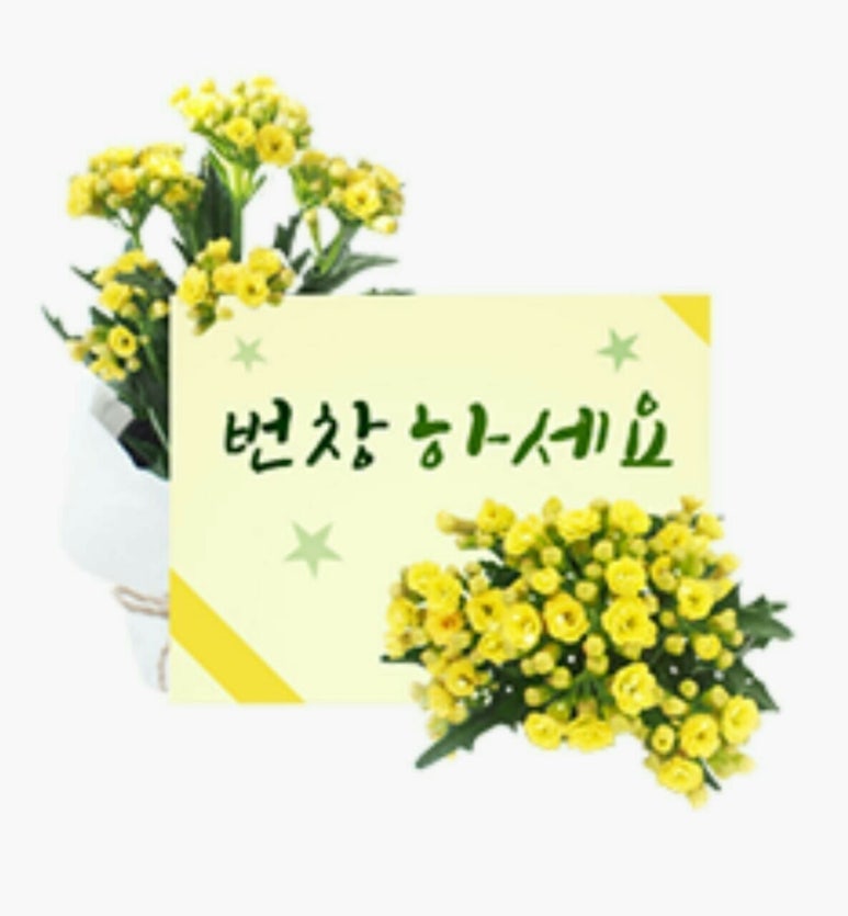 부라보맥주 이미지