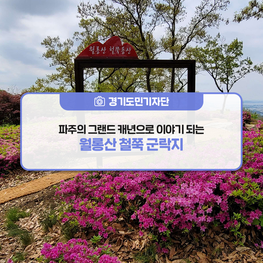 철쭉 군락지 이미지