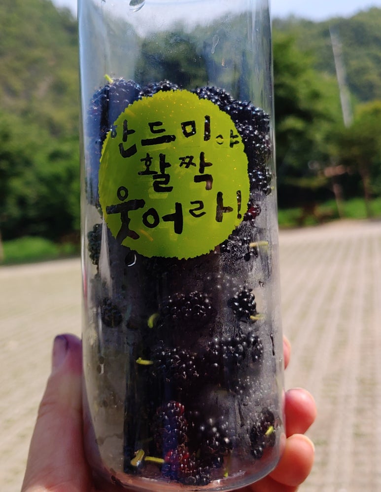 한드미 이미지