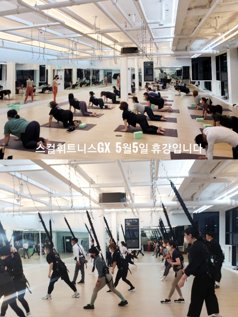 스컬휘트니스 이미지