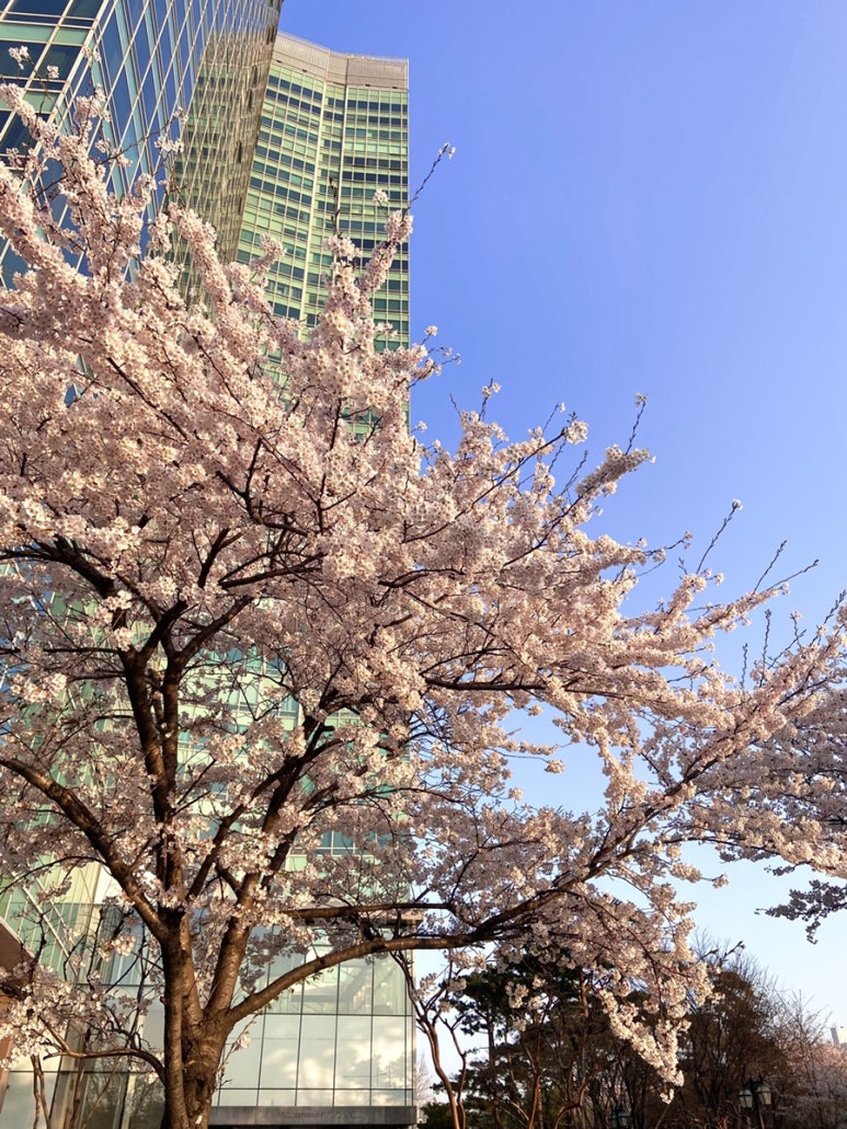 숭찌 이미지