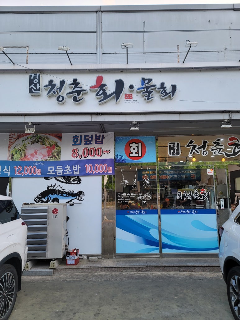 청춘회물회 이미지