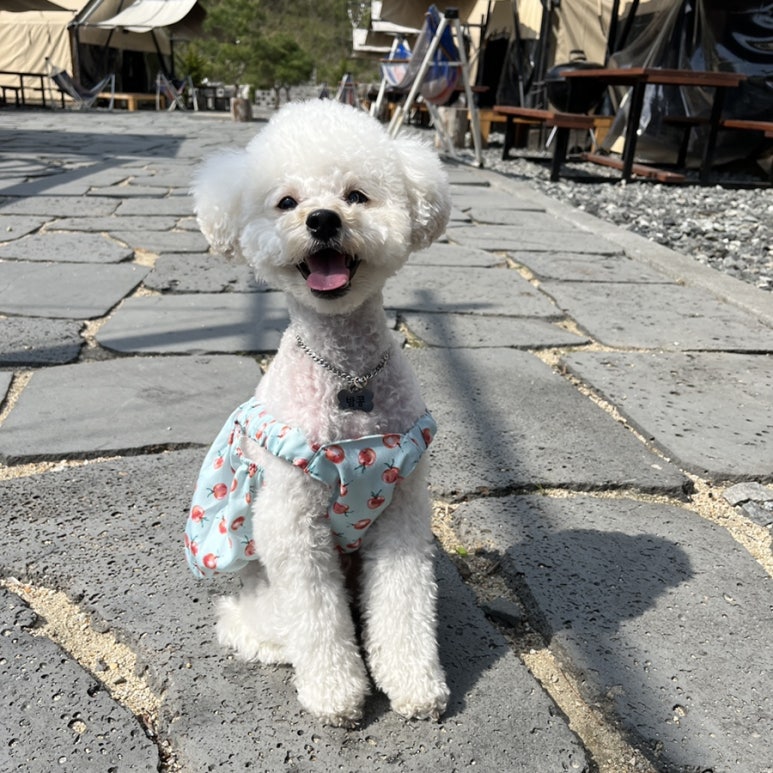 달빛글램핑장 이미지