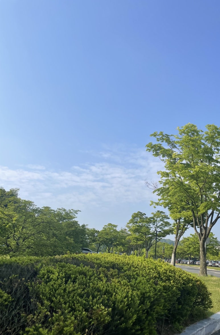 청솔다방 이미지