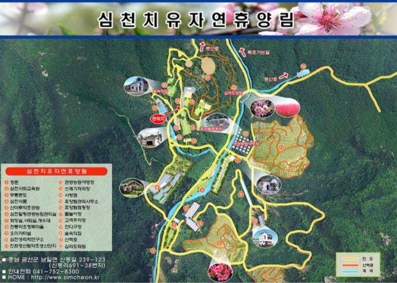 심천치유자연휴양림 이미지