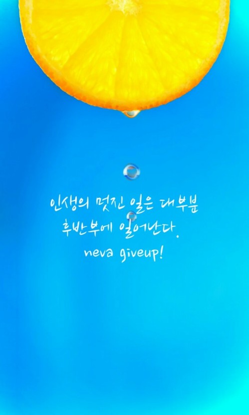 라온짐 이미지