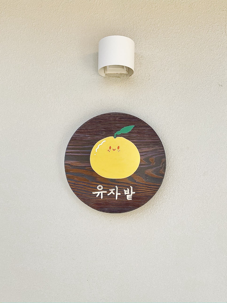 카페 유자 이미지