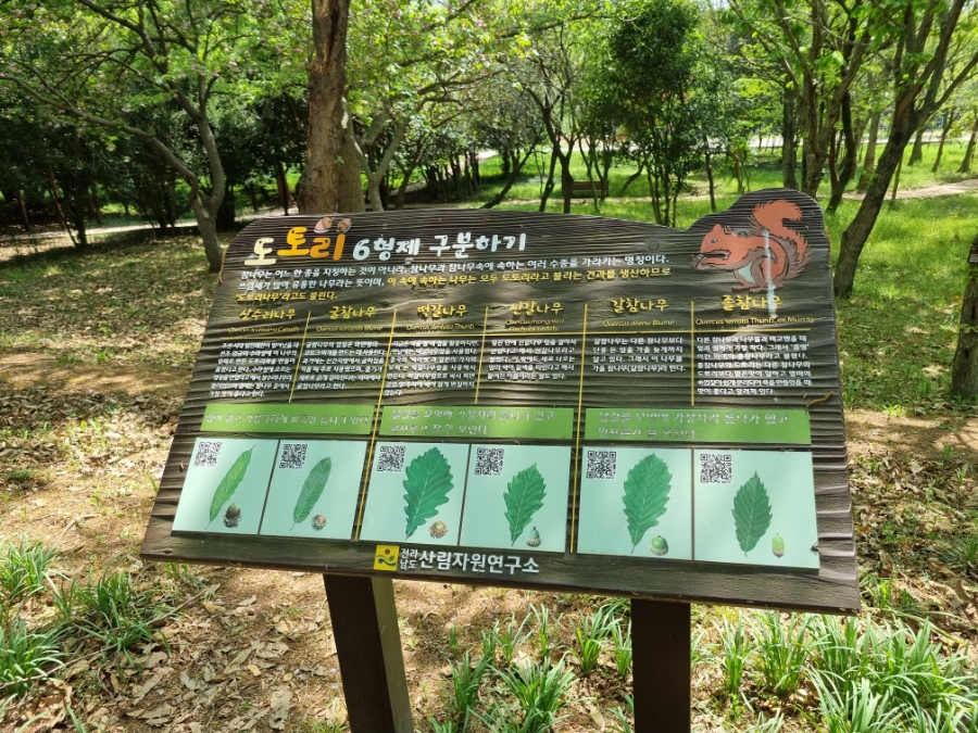 모던자원 이미지