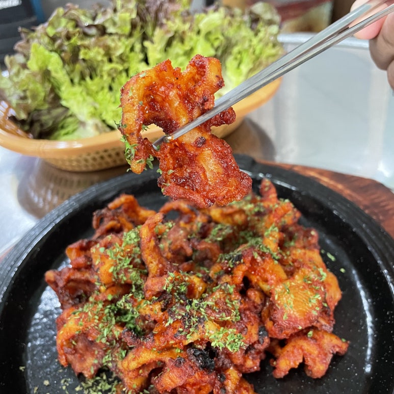 새벽닭 이미지