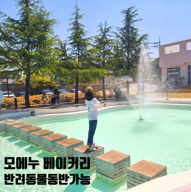 구미포미 이미지