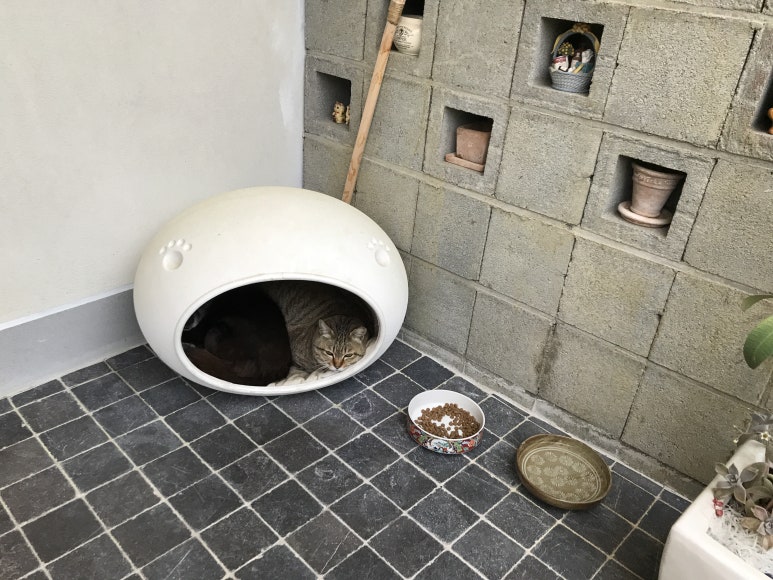 더샘;Garden 이미지