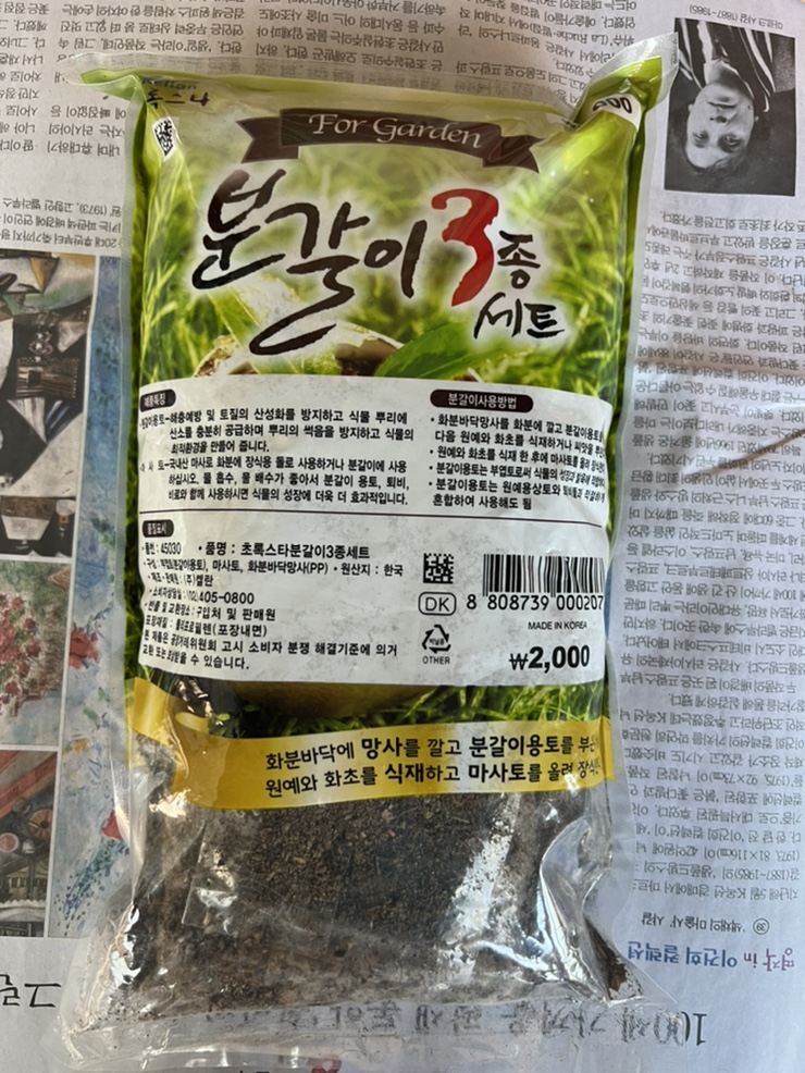 다늘마켓 이미지