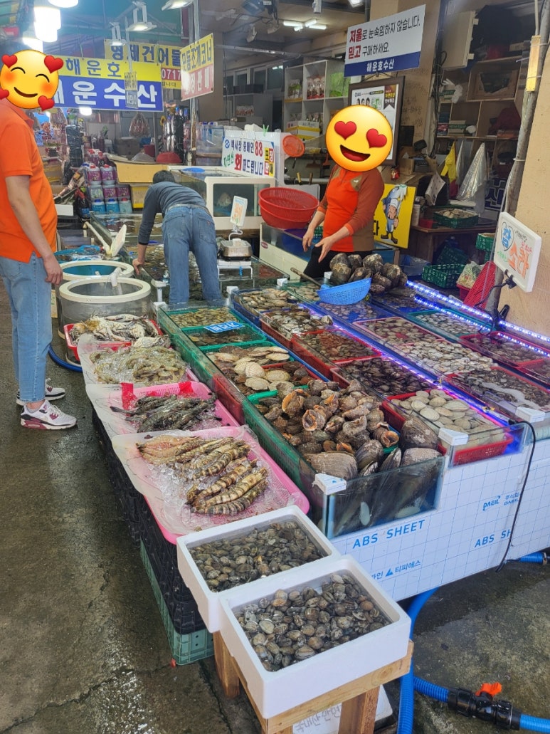 해운호 이미지