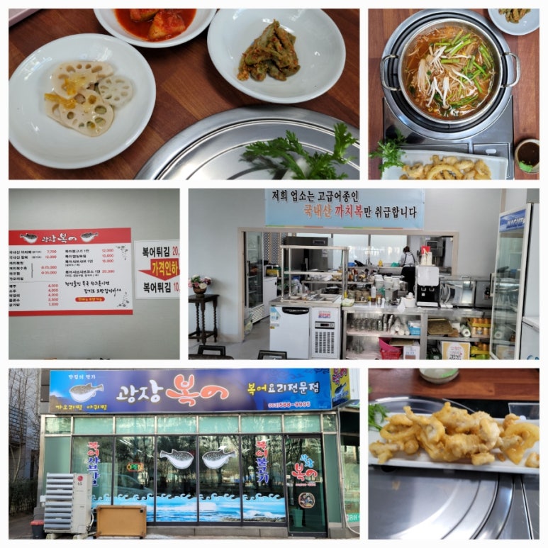 광장복어 이미지