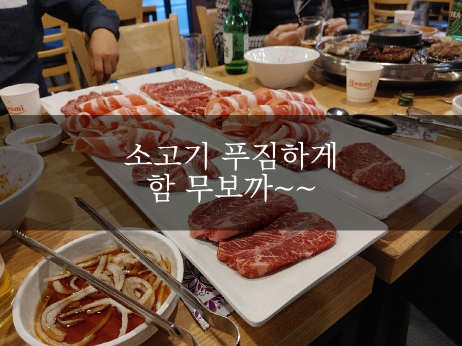 육백플러스 이미지