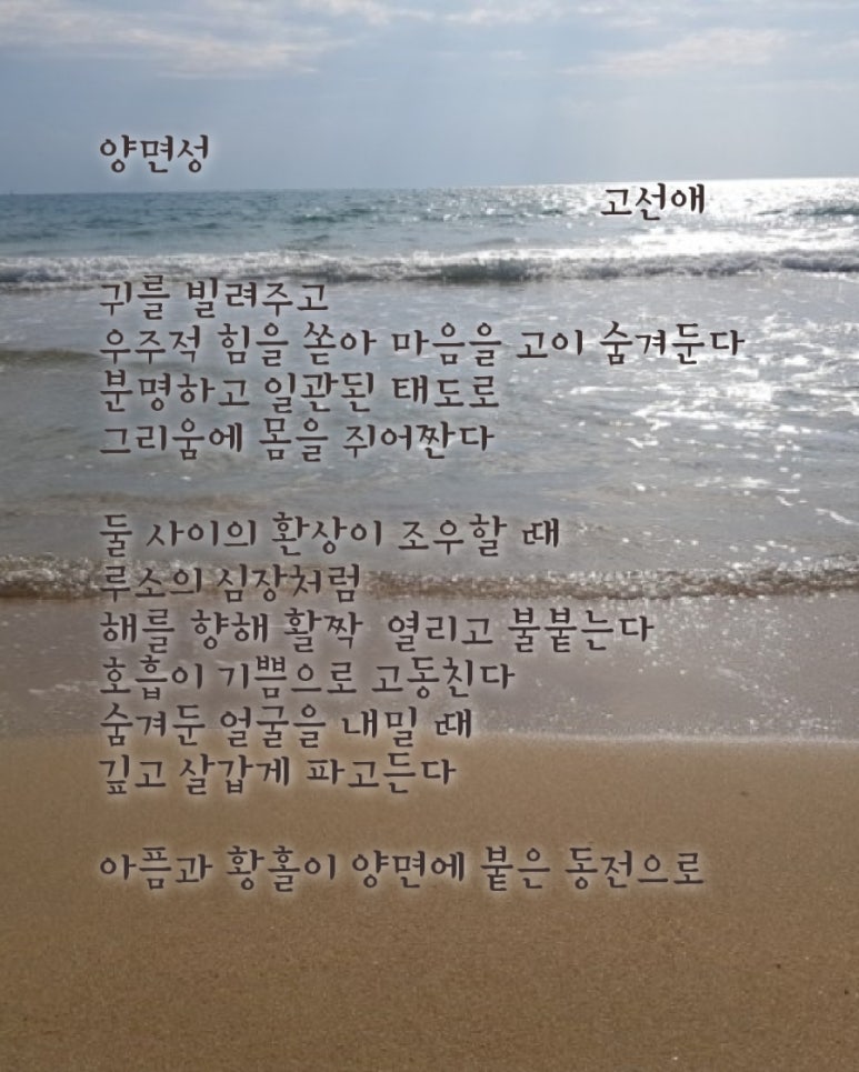 쁘미당 이미지