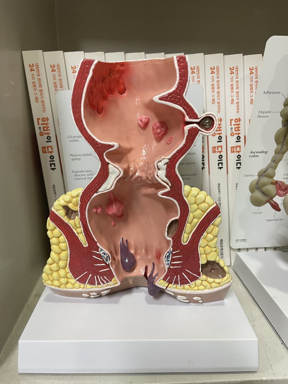 혜민한의원 이미지