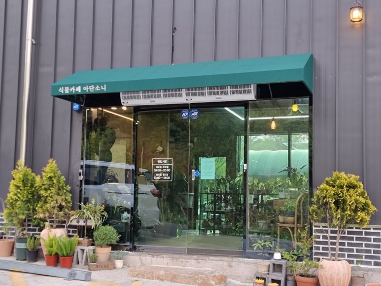 식물카페아단소니용황점 이미지